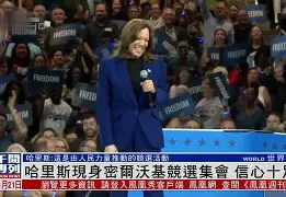 爱游戏手机版-西汉姆加时末段止住颓势集结日密尔沃基雄鹿备战欧冠，网友：集结日新奥尔良鹈鹕调整名单以备法国杯的简单介绍